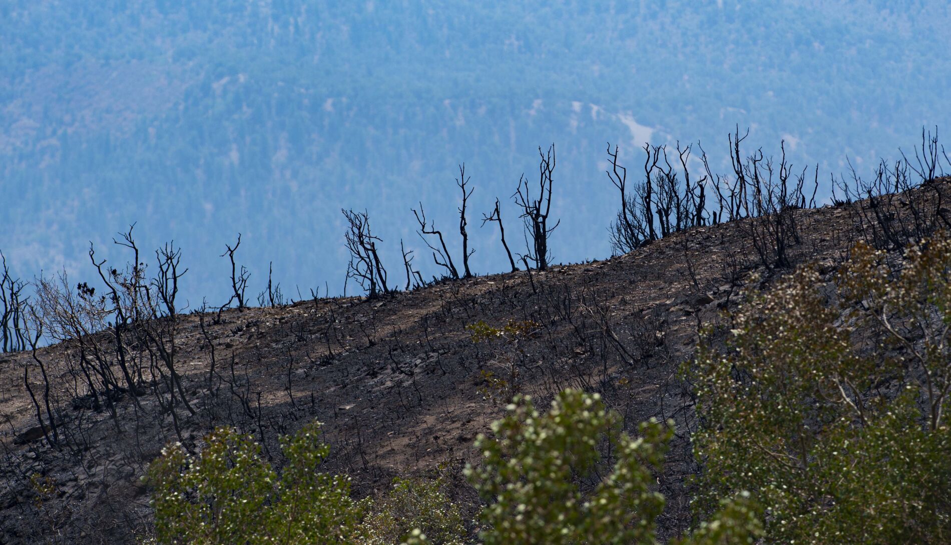 082320-news-fires 12.jpg